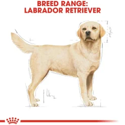 Royal Canin Labrador Retriever Adult Dry Dog Food
