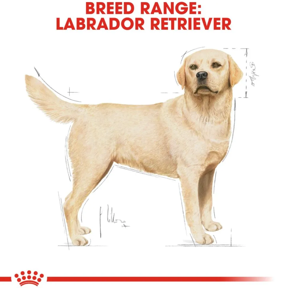 Royal Canin Labrador Retriever Adult Dry Dog Food