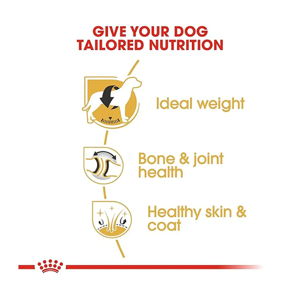 Royal Canin Labrador Retriever Adult Dry Dog Food
