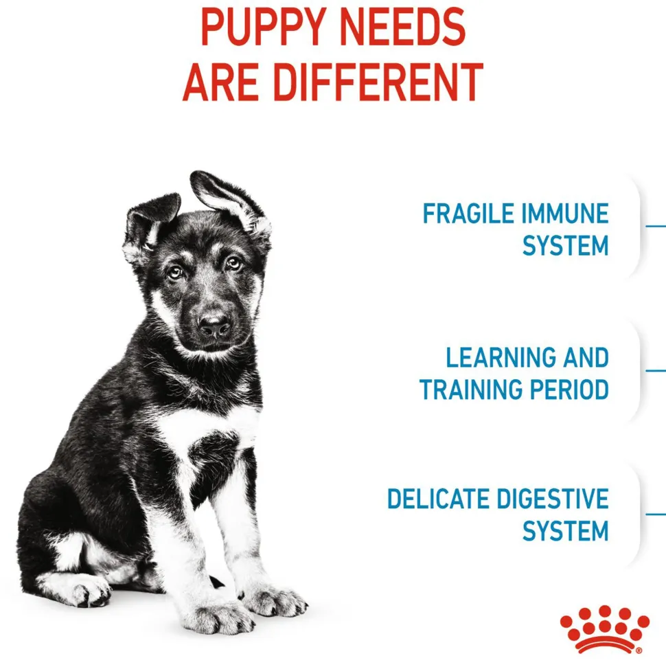 Royal Canin Maxi Puppy Dry Dog Food