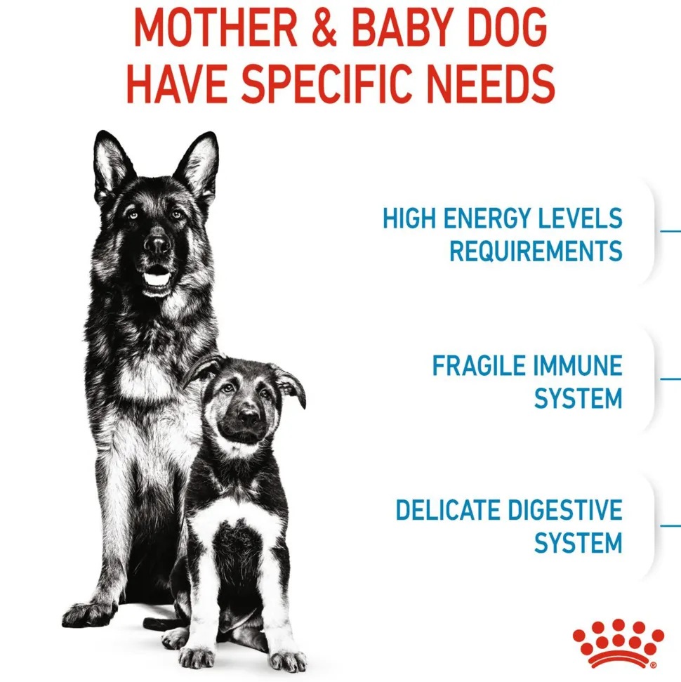 Royal Canin Maxi Starter Dry Dog Food