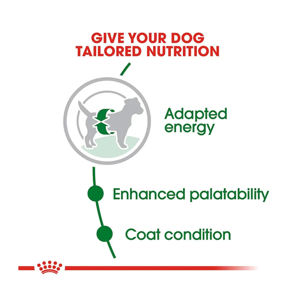 Royal Canin Mini Adult Dry Dog Food