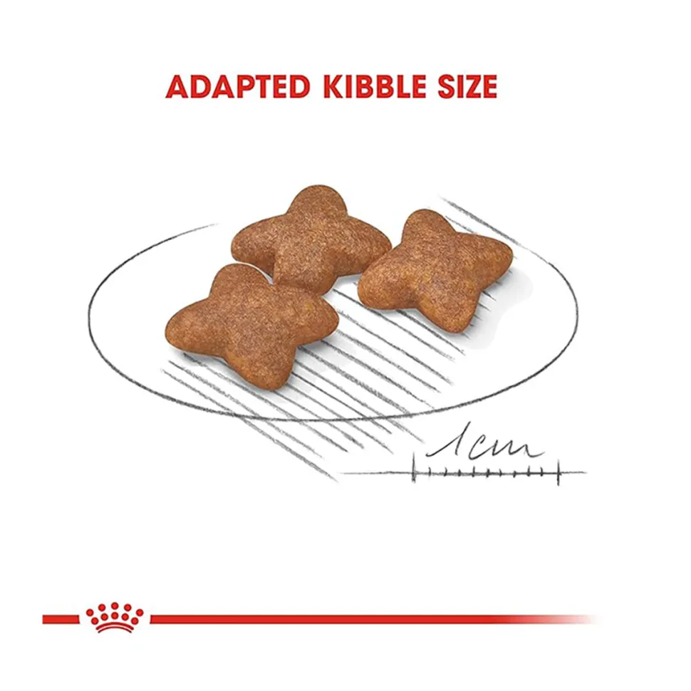 Royal Canin Mini Adult Dry Dog Food