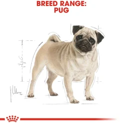Royal Canin Pug Adult Dry Dog Food
