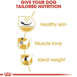 Royal Canin Pug Adult Dry Dog Food