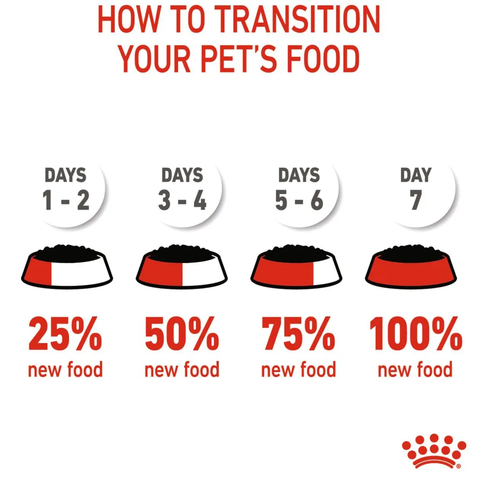 Royal Canin Puppy Mini Wet Puppy Food (1-10kg) - 85 g packs