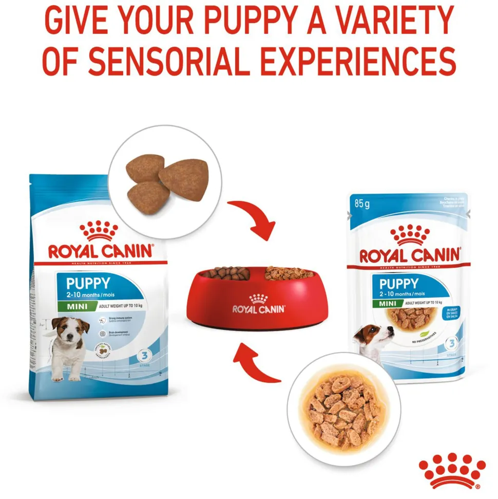 Royal Canin Puppy Mini Wet Puppy Food (1-10kg) - 85 g packs