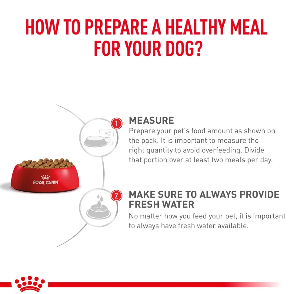 Royal Canin Veterinary Anallergenic Dry Food For Dog