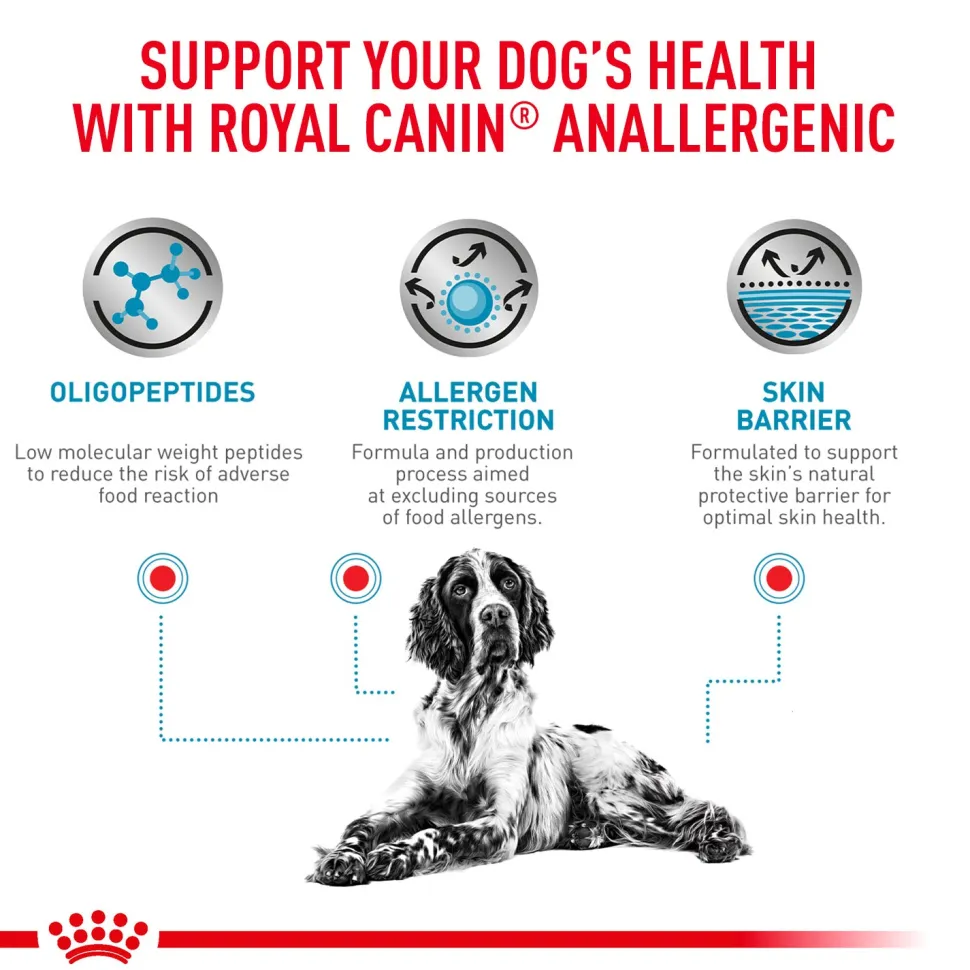 Royal Canin Veterinary Anallergenic Dry Food For Dog