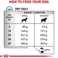 Royal Canin Veterinary Diet Hypoallergenic Dry Food For Dog