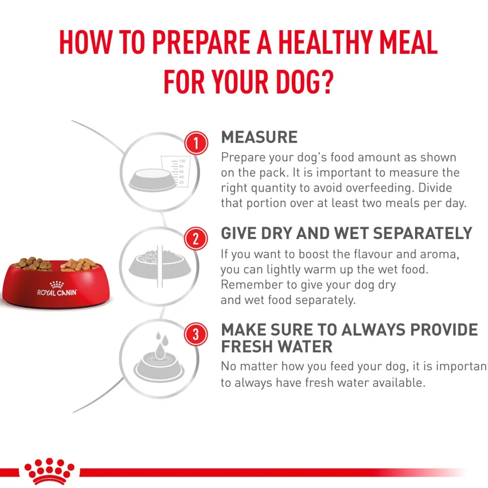 Royal Canin Veterinary Diet Renal Adult Dry Dog Food - 7 kg