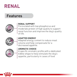 Royal Canin Veterinary Diet Renal Support Dry Food For Dog - 2 Kg