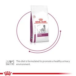 Royal Canin Veterinary Diet Renal Support Dry Food For Dog - 2 Kg