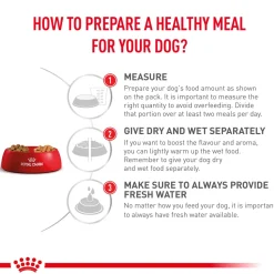 Royal Canin Veterinary Diet Renal Support Dry Food For Dog - 2 Kg