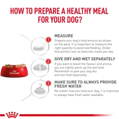 Royal Canin Veterinary Diet Renal Wet Food Can For Dog - 410 g
