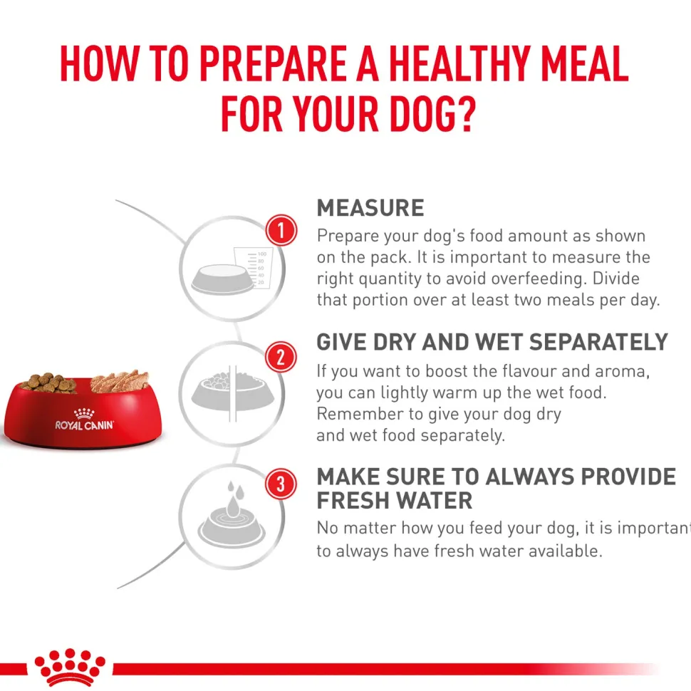 Royal Canin Veterinary Diet Renal Wet Food Can For Dog - 410 g