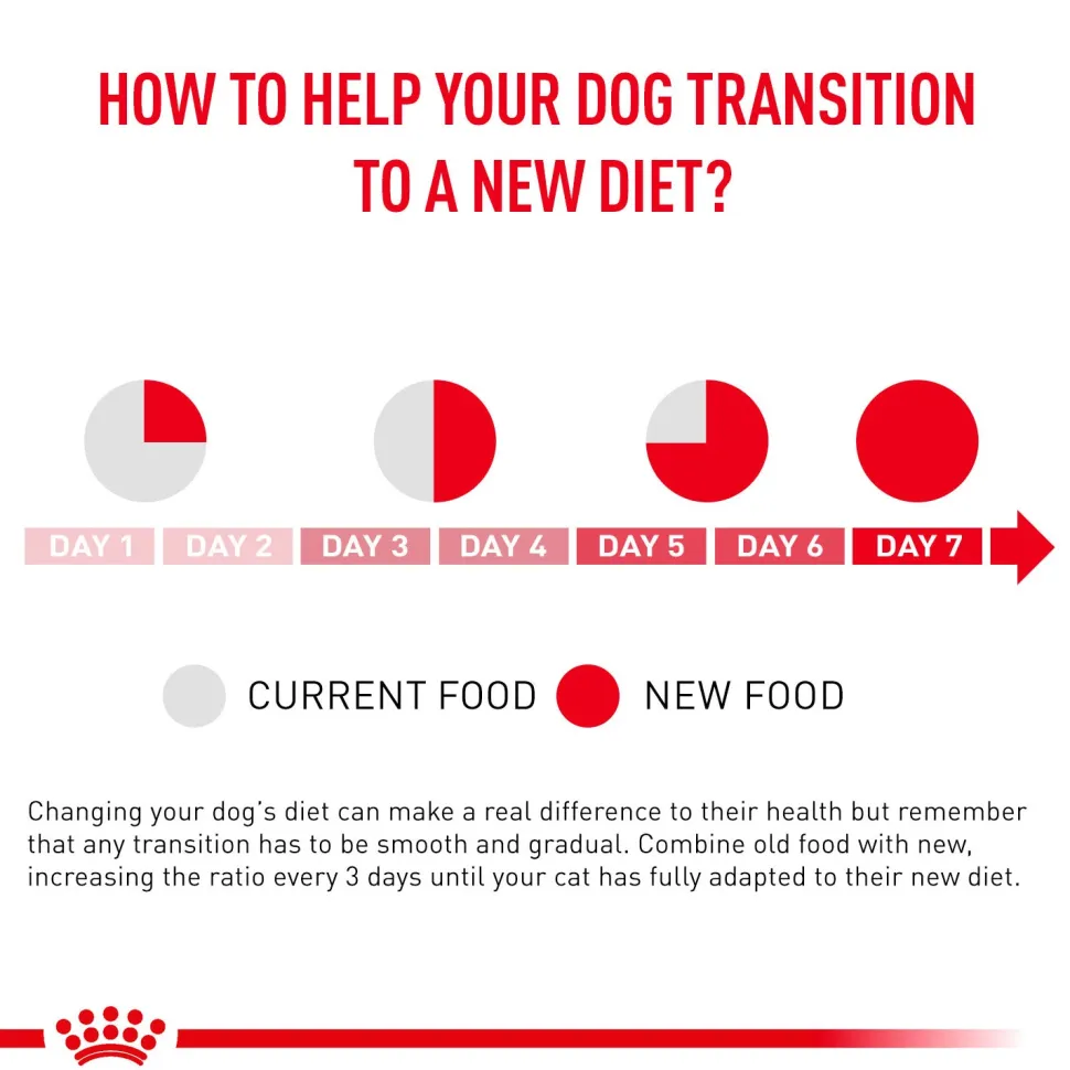 Royal Canin Veterinary Gastrointestinal Low Fat Dog Wet Food - 420 g