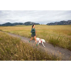 Ruffwear Front Range Dog Harness - Twilight Grey