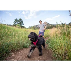 Ruffwear Front Range Dog Harness - Twilight Grey