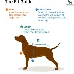 Ruffwear Front Range Dog Harness - Huckleberry Blue
