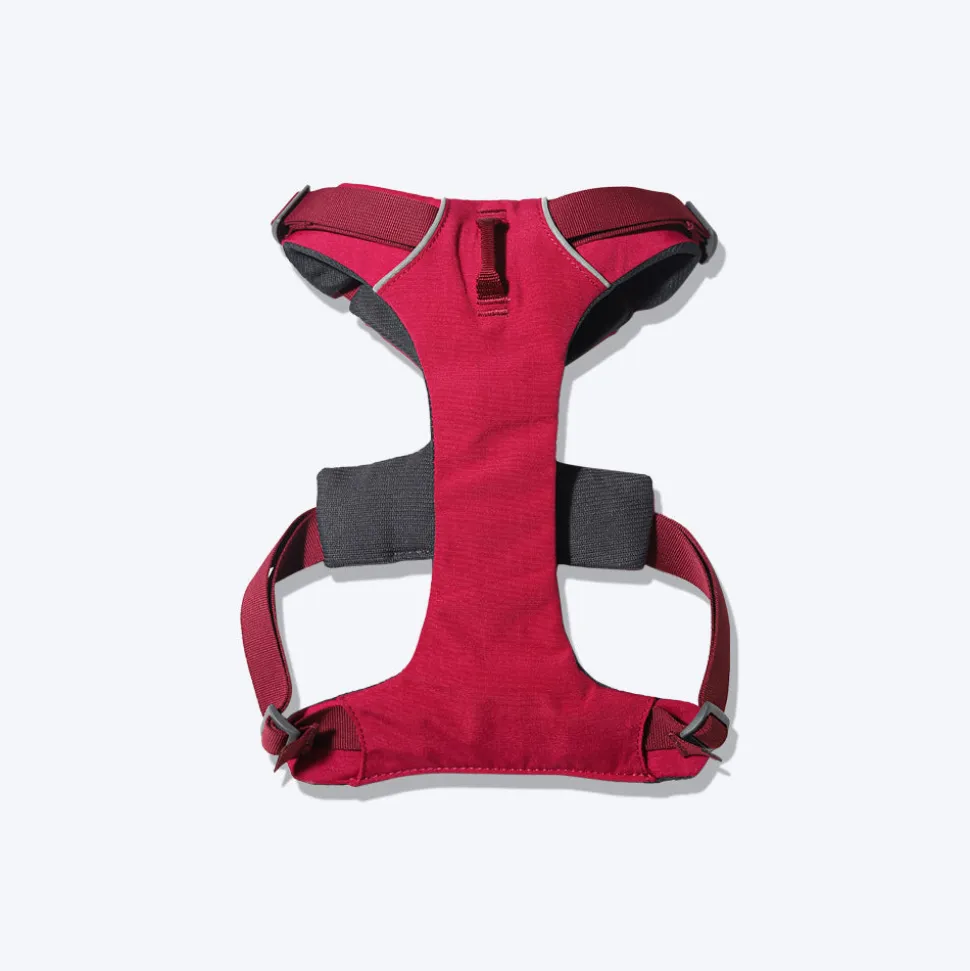 Ruffwear Front Range Dog Harness - Red Sumac
