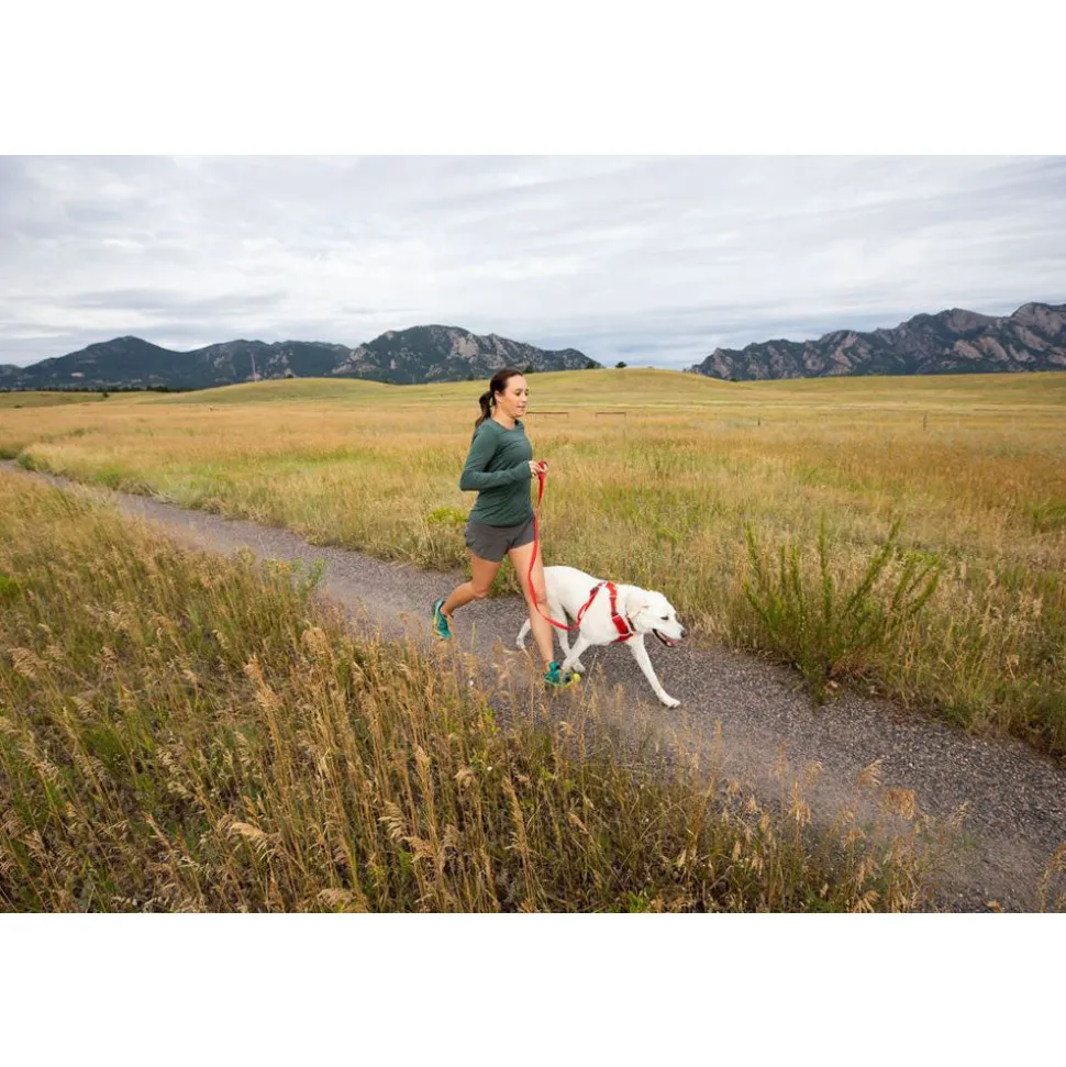 Ruffwear Front Range Dog Harness - Campfire Orange