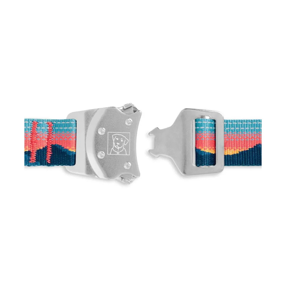 Ruffwear Top Rope Dog Collar - Sunset