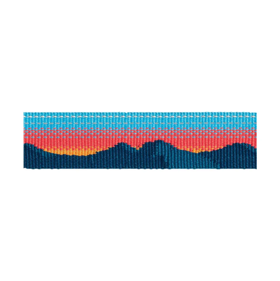 Ruffwear Top Rope Dog Collar - Sunset
