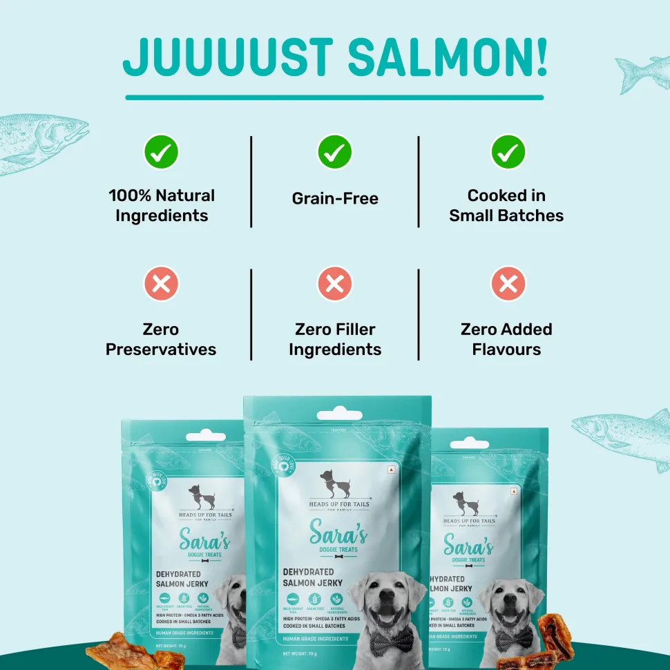 Sara's Dehydrated Salmon Jerky Dog Treats Grain-Free 70g
