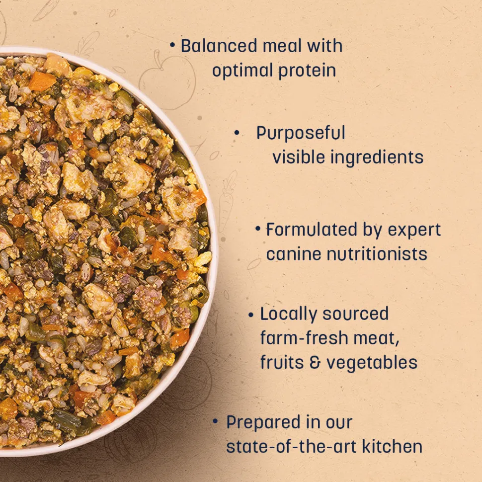 Sara's Wholesome Chicken & Brown Rice Dog Food 10x100g