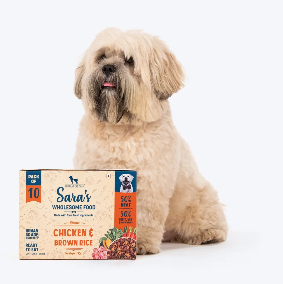 Sara's Wholesome Chicken & Brown Rice Dog Food 10x100g