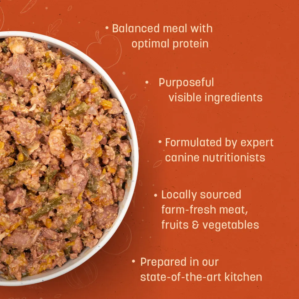 Sara's Wholesome Grain-Free Chicken & Veggies Dog Food
