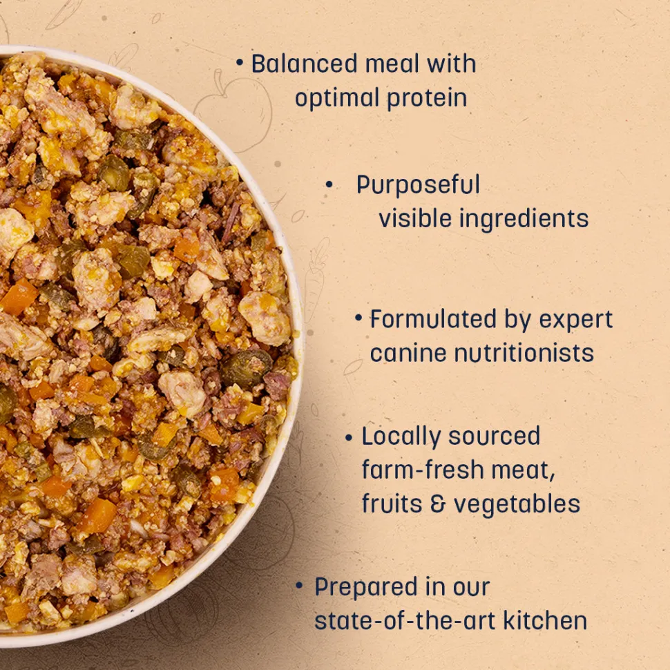 Sara's Wholesome Grain-Free Dog Food Combo - 2x100 gm