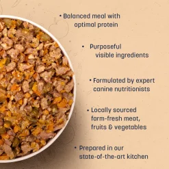 Sara's Wholesome Lamb & Apple Dog Food Small Dogs 10x100g