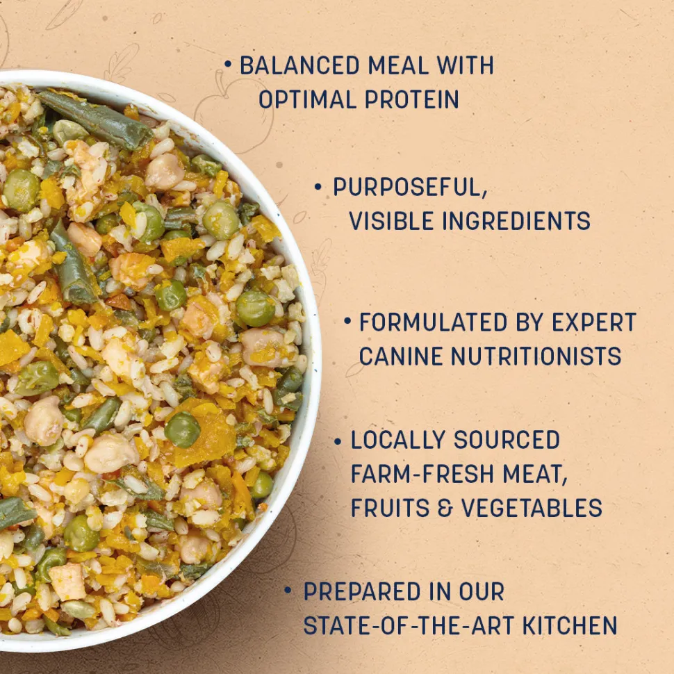 Sara's Wholesome Paneer & Veggies Vegetarian Dog Food
