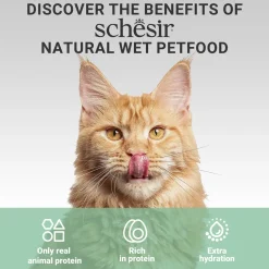 Schesir 52% Tuna in Jelly Wet Cat Food - (6 x 50 g)