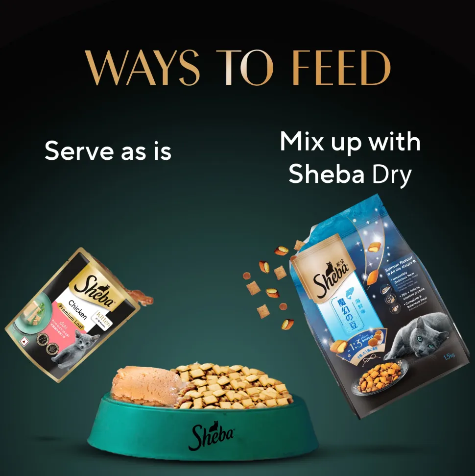 Sheba Chicken Premium Loaf Wet Kitten Food - 70 gm Packs