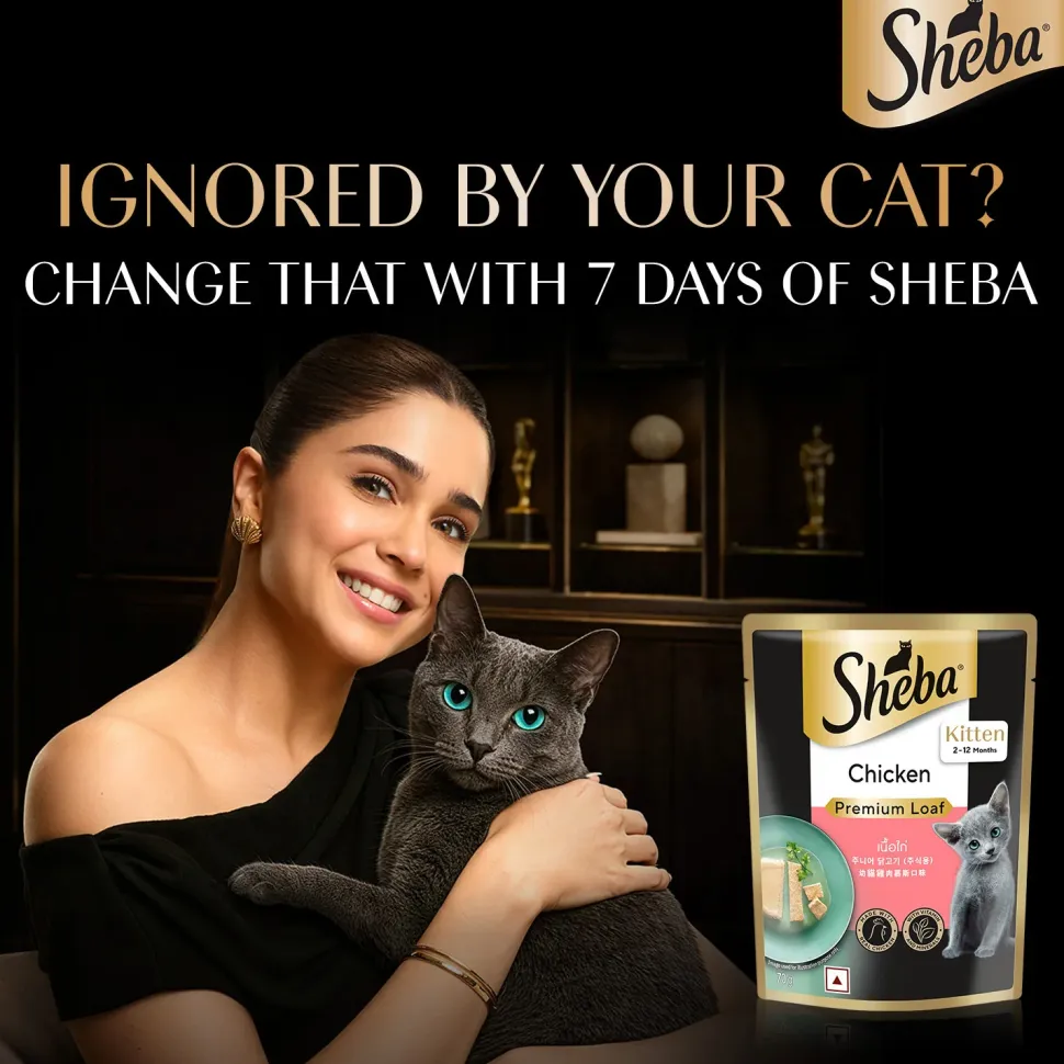 Sheba Chicken Premium Loaf Wet Kitten Food - 70 gm Packs