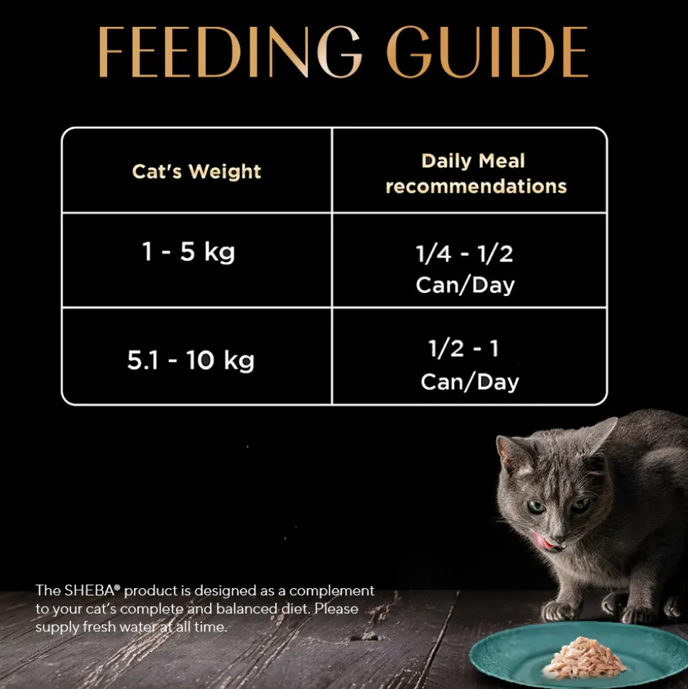 Sheba Deluxe Premium (1+ Years) Tuna Flakes & Salmon In Gravy Adult Cat Wet Food - 85 gm - Pack