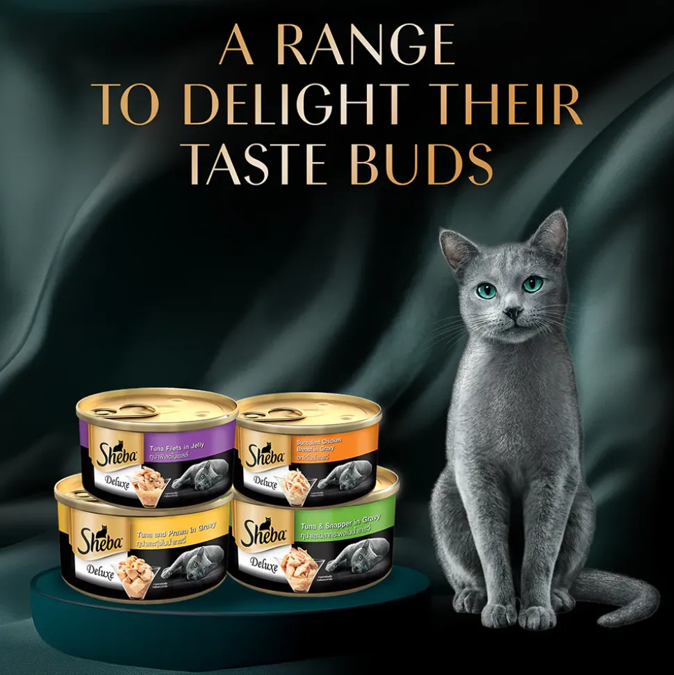Sheba Deluxe Premium (1+ Years) Tuna and Prawns in Gravy Adult Wet Cat Food - 85 g - Pack
