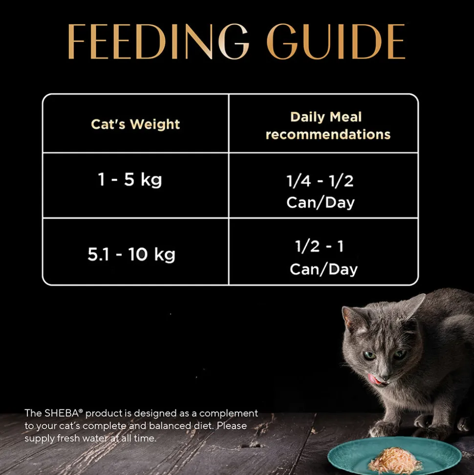Sheba Deluxe Premium (1+ Years) Tuna Fillets in Jelly Adult Wet Cat Food - 85 g - Pack