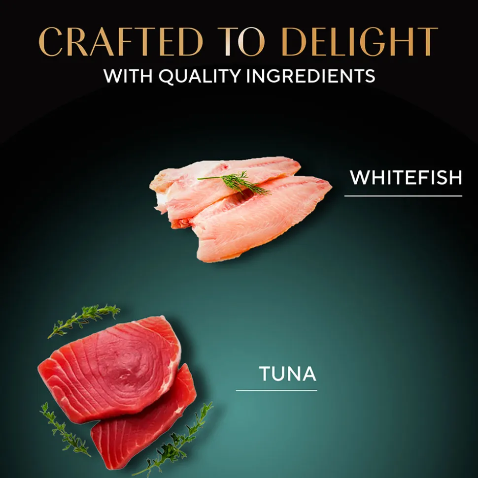 Sheba Deluxe Premium (1+ Years) Tuna Fillets in Jelly Adult Wet Cat Food - 85 g - Pack