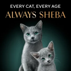 Sheba Deluxe Premium (1+ Years) Tuna Fillets in Jelly Adult Wet Cat Food - 85 g - Pack