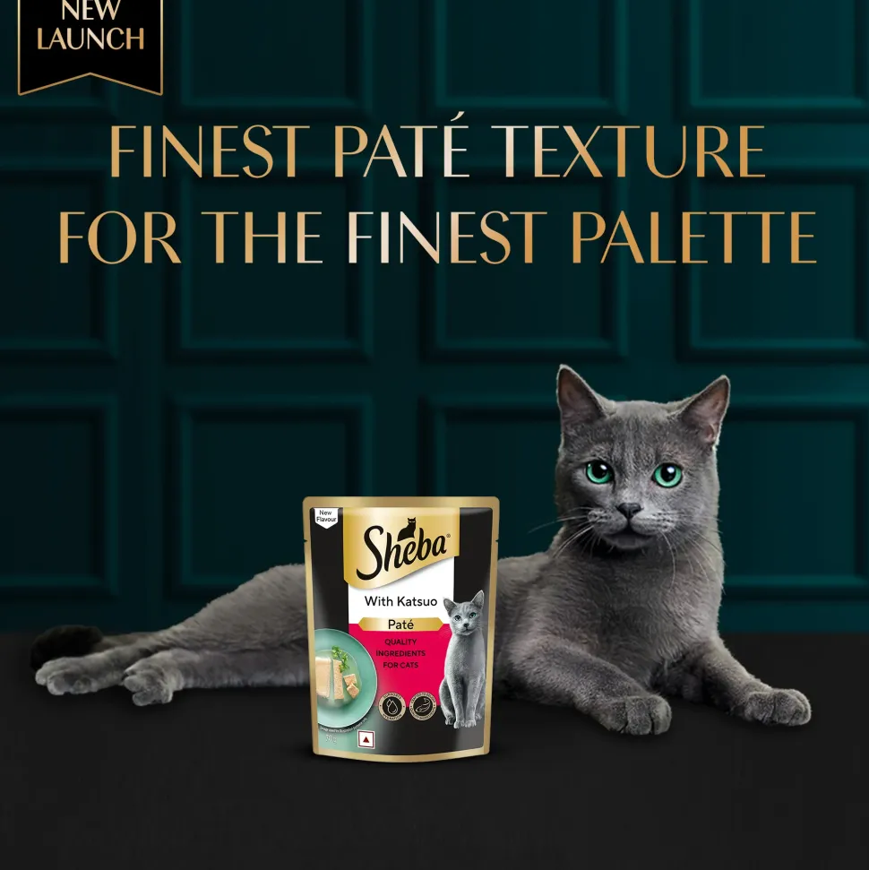 Sheba Katsuo Pate Wet Food For Adult Cat - 70 gm