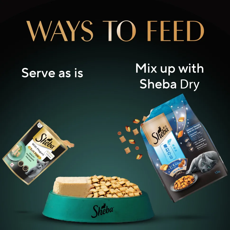 Sheba Maguro Pate Wet Food For Kitten - 70 gm