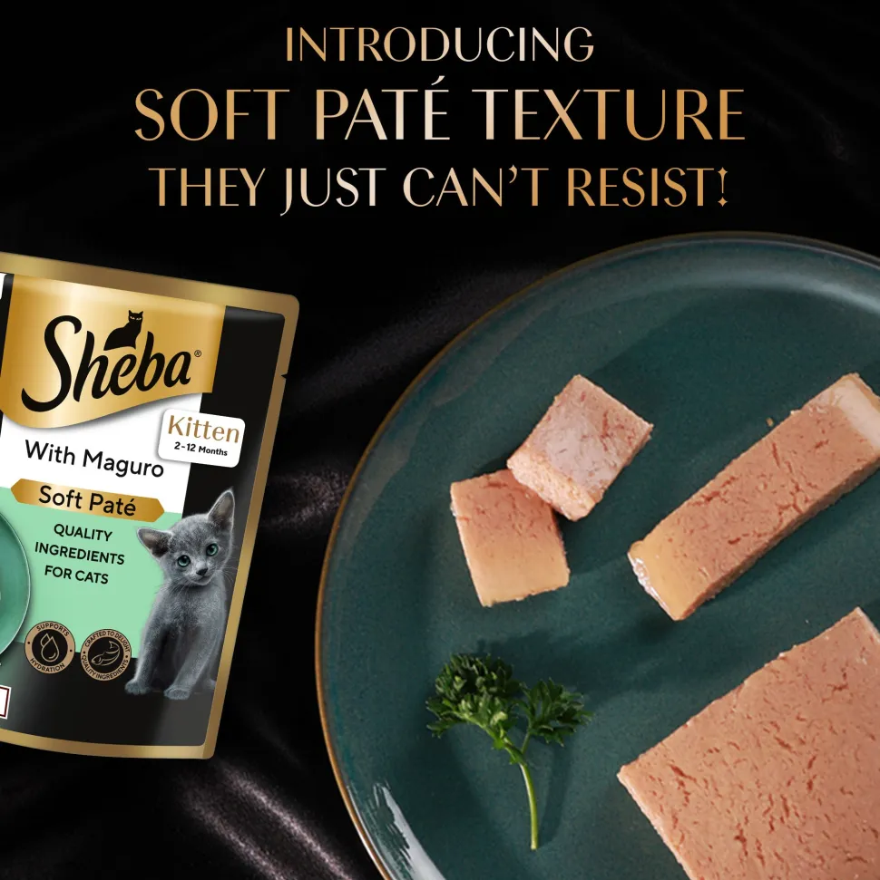 Sheba Maguro Pate Wet Food For Kitten - 70 gm
