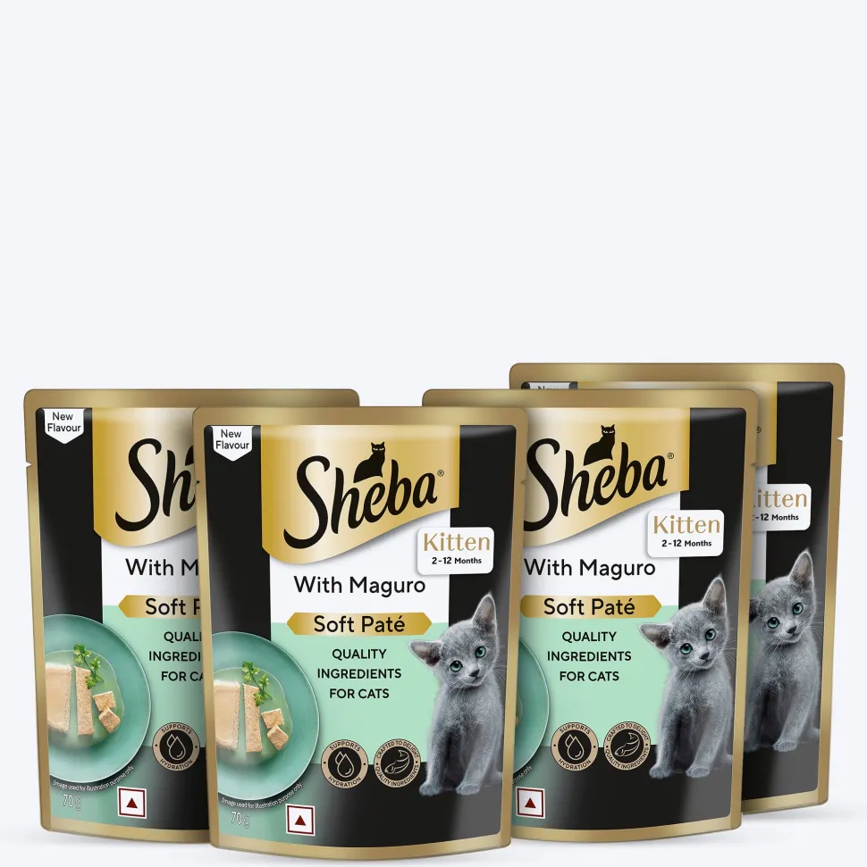 Sheba Maguro Pate Wet Food For Kitten - 70 gm