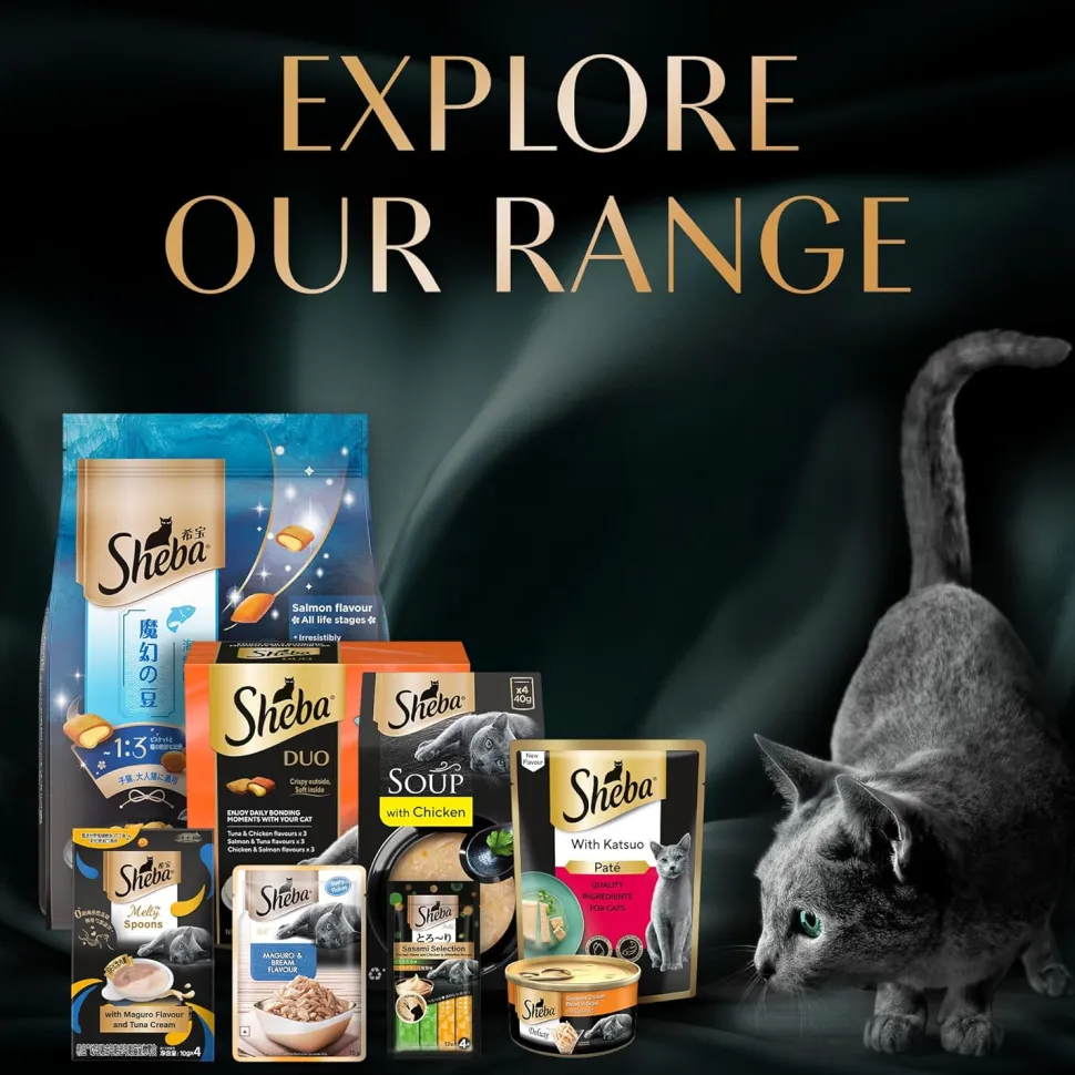 Sheba Maguro Pate Wet Food For Kitten - 70 gm