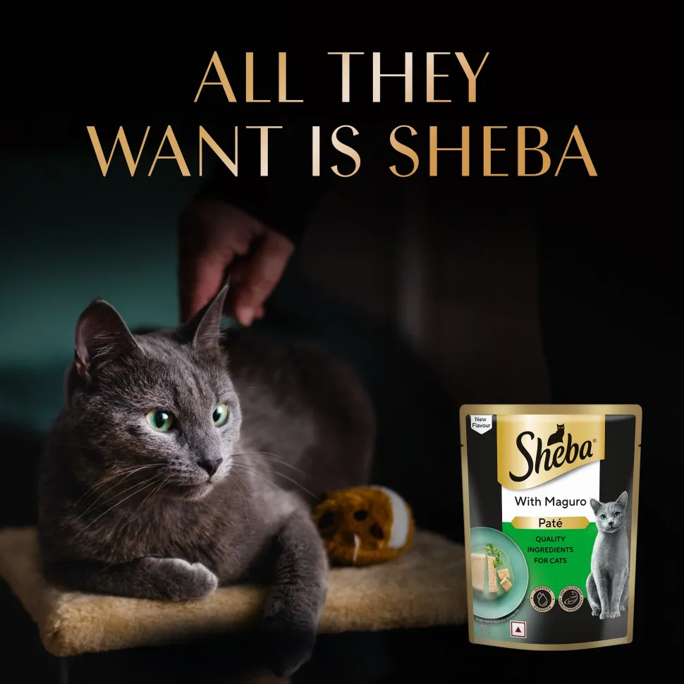 Sheba Maguro Pate Wet Food For Adult Cat - 70 gm