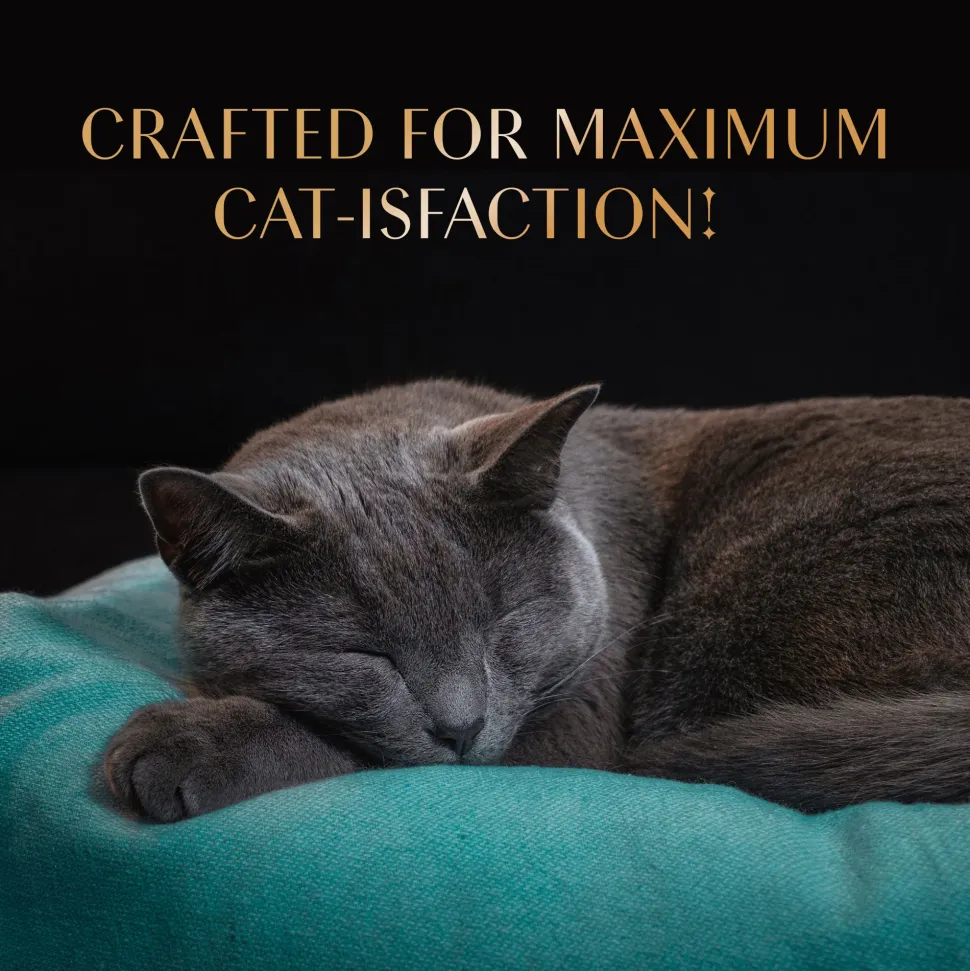 Sheba Melty Maguro Selection Tuna & Tuna & Prawn Flavors Cat Treats - 240 gm (20 x 12gm)